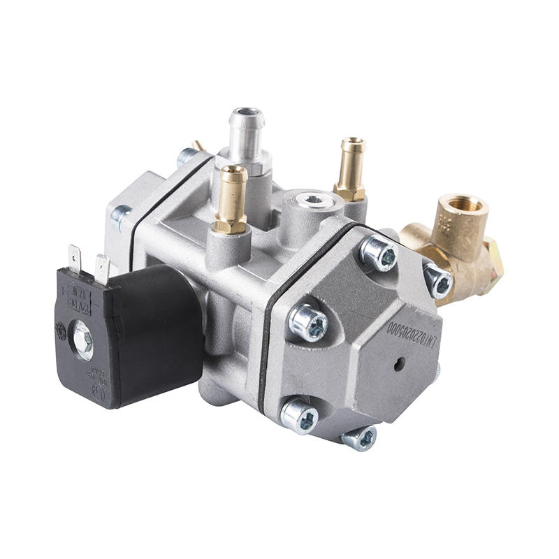 Reductor de presión de gas comprimido GNC para vehículos de combustible GNC KY_02