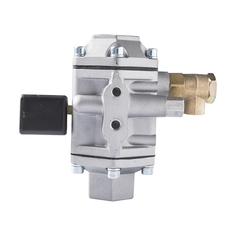 Reductor de presión de gas comprimido GNC para vehículos de combustible GNC KY_02